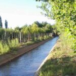 images - 2026-09-19T121242.971
