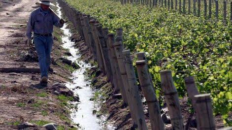 El debate por el modelo productivo: cómo los encadenamientos pueden revertir la caída de valor exportable en Mendoza